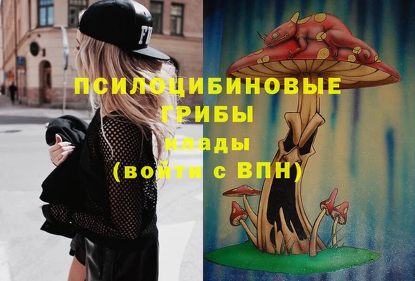 mix Горнозаводск