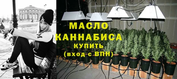 сатива Волоколамск